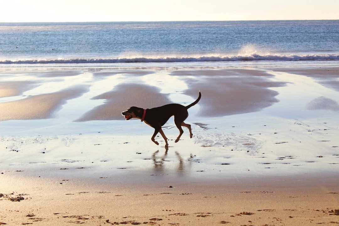 Eco-Friendly Things to Do in Tofino