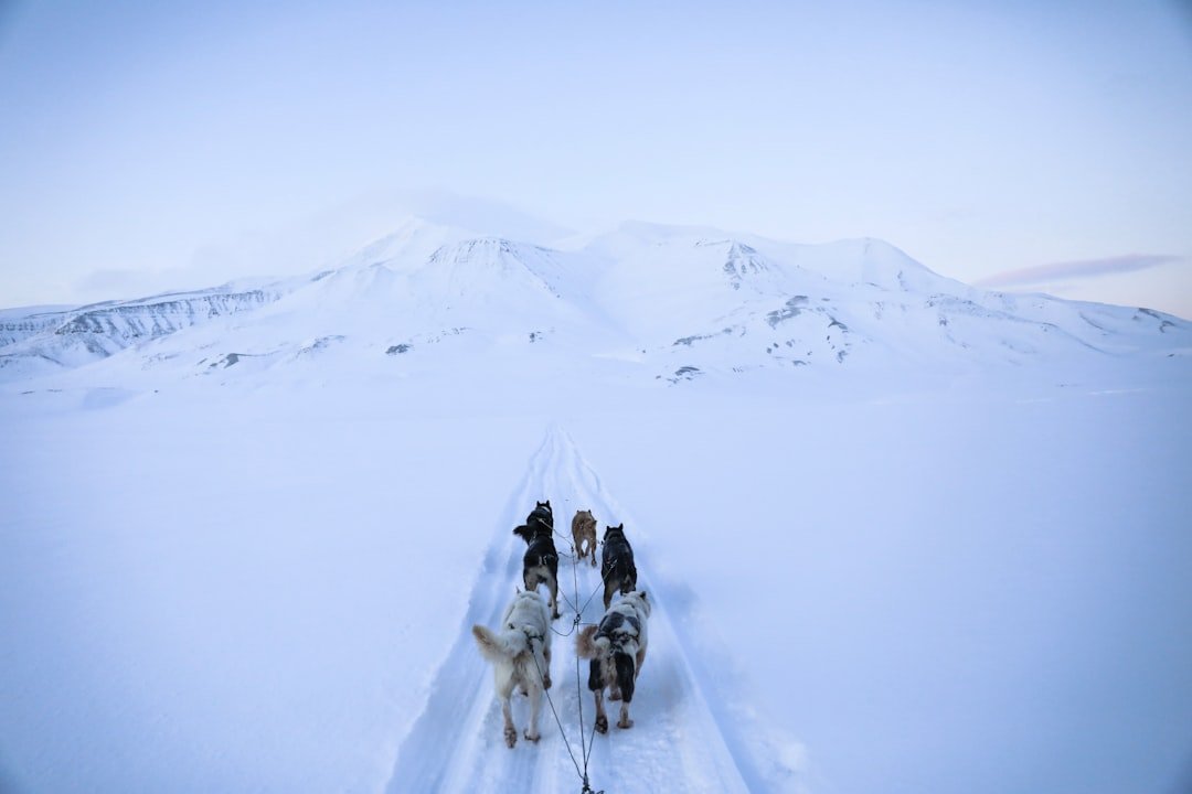 Top Adventures in Churchill Manitoba Beyond Polar Bears