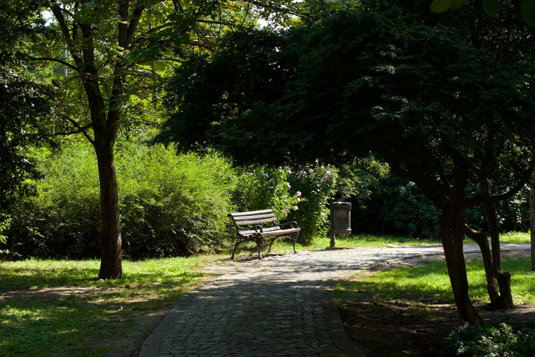 Photo Cozy seating