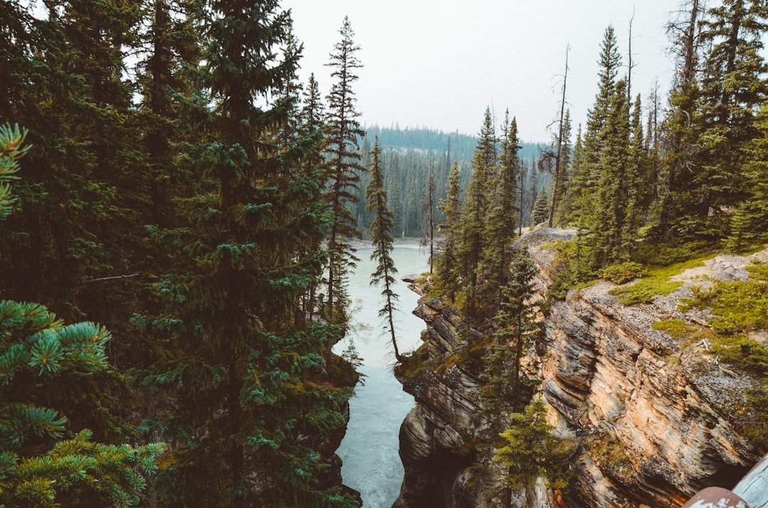 Best Waterfalls Across Canada to Explore