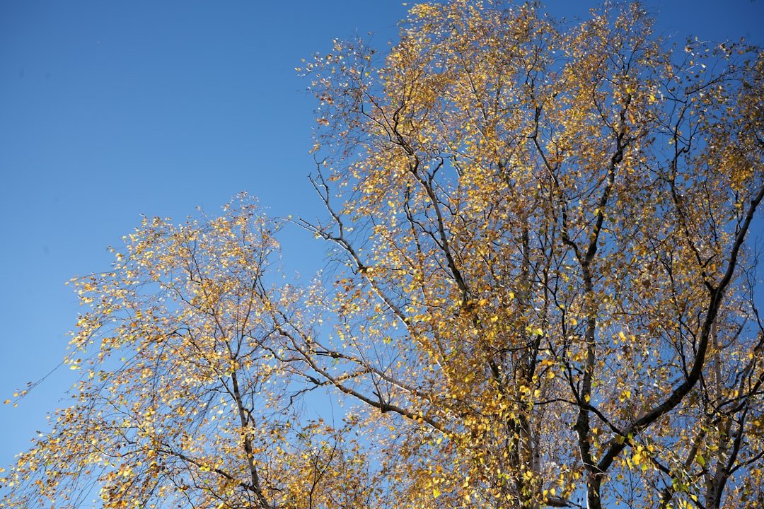 Best October Vacations: Fall Foliage, Festivals, and Fun