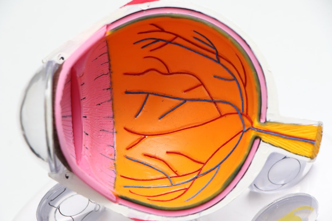 Eye Care Professionals in Nevada, MO: Keeping Your Vision Healthy
