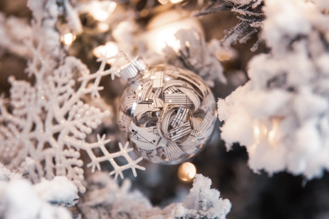 Top December Destinations in USA