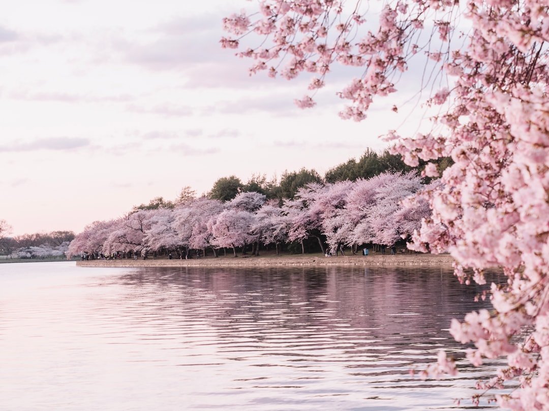 Top April Vacation Destinations: Beaches, Mountains, and Cities