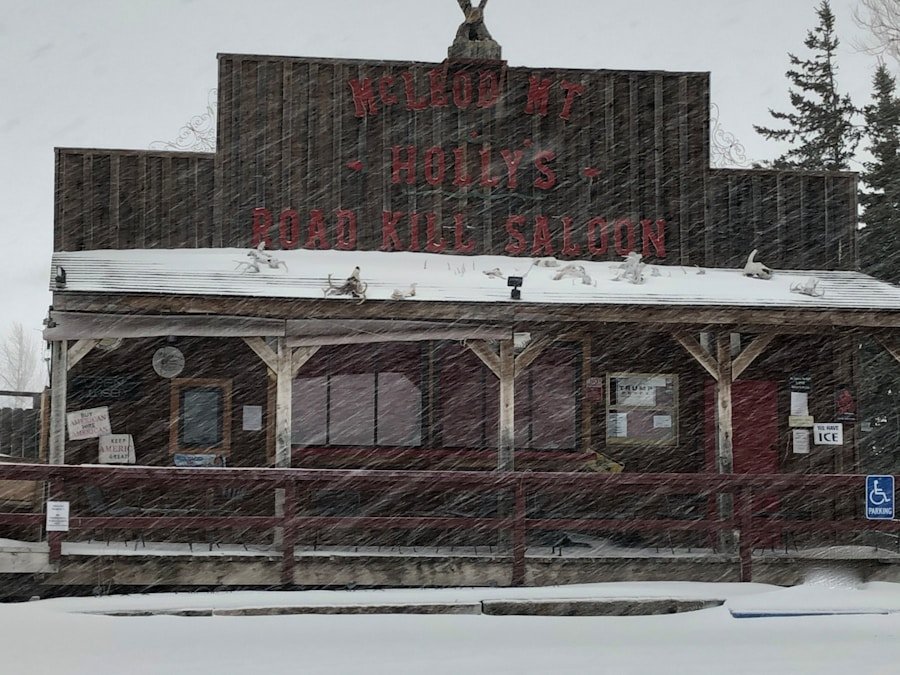 Exploring Ely, Nevada: Unique Stores Await