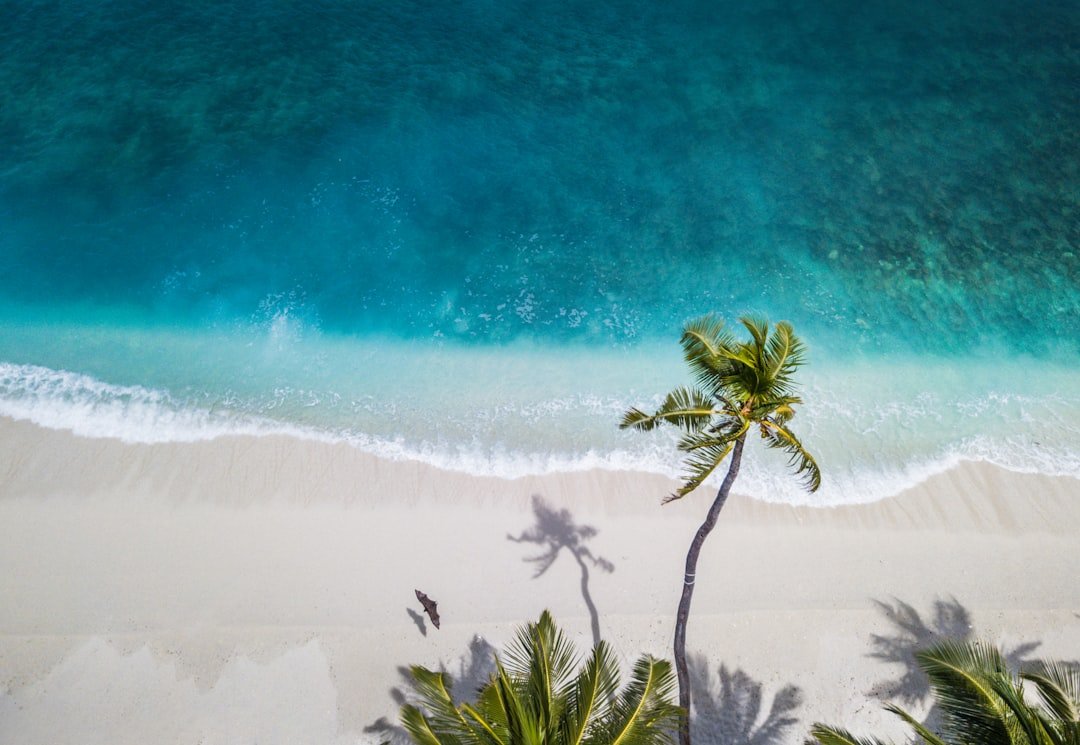Top February Vacation Destinations