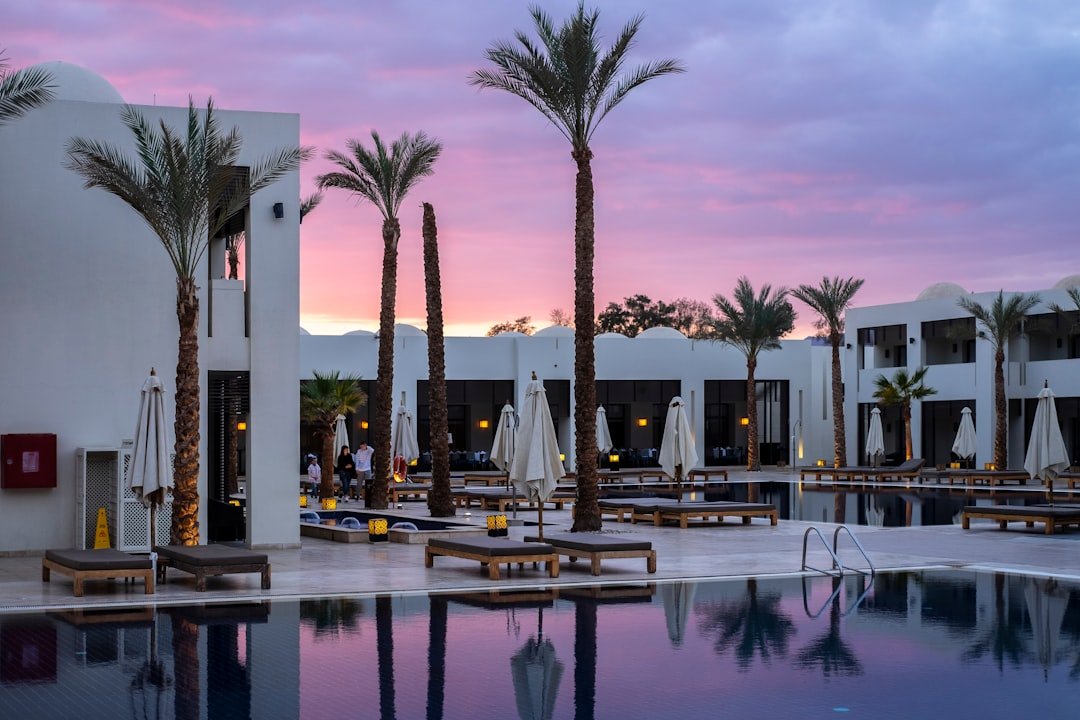 Ultimate Vegas Travel Guide